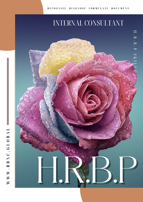 Internal Consulting Skills For Human Resources Professional