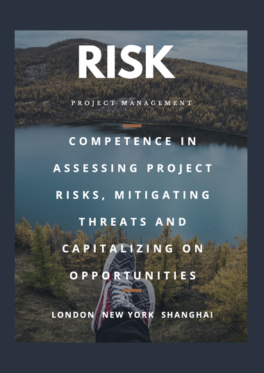 Project Risk Management